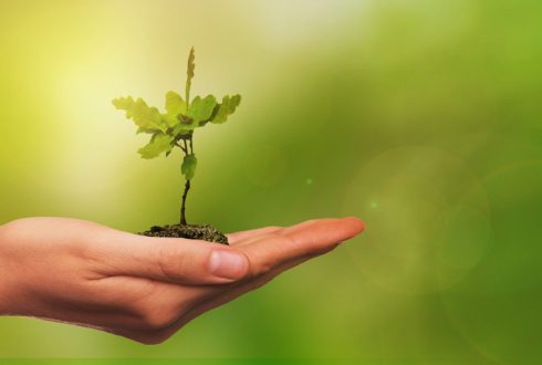 Sustainability